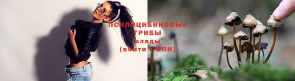 кокс Нефтекумск