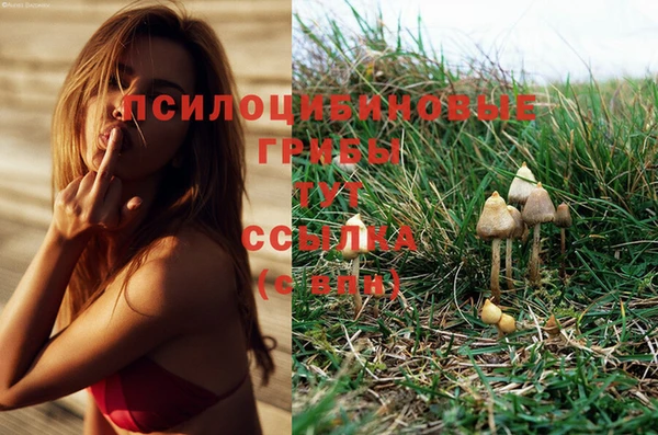 СК Нефтегорск