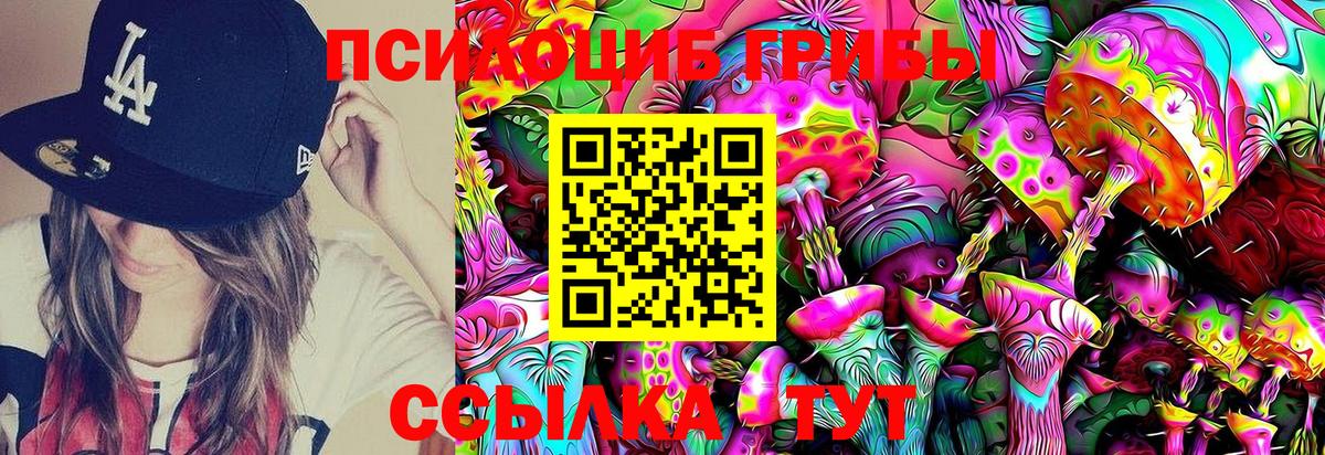 как найти   Сафоново  Псилоцибиновые грибы Magic Shrooms  Галлюциногенные грибы Cubensis 