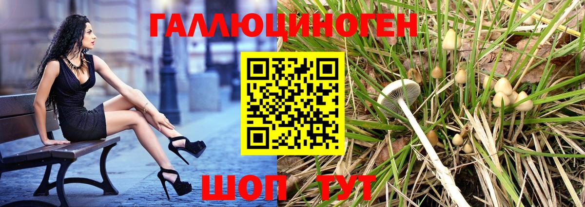 Псилоцибиновые грибы Cubensis  Вход с VPN  Псилоцибиновые грибы Magic Shrooms  Сафоново 