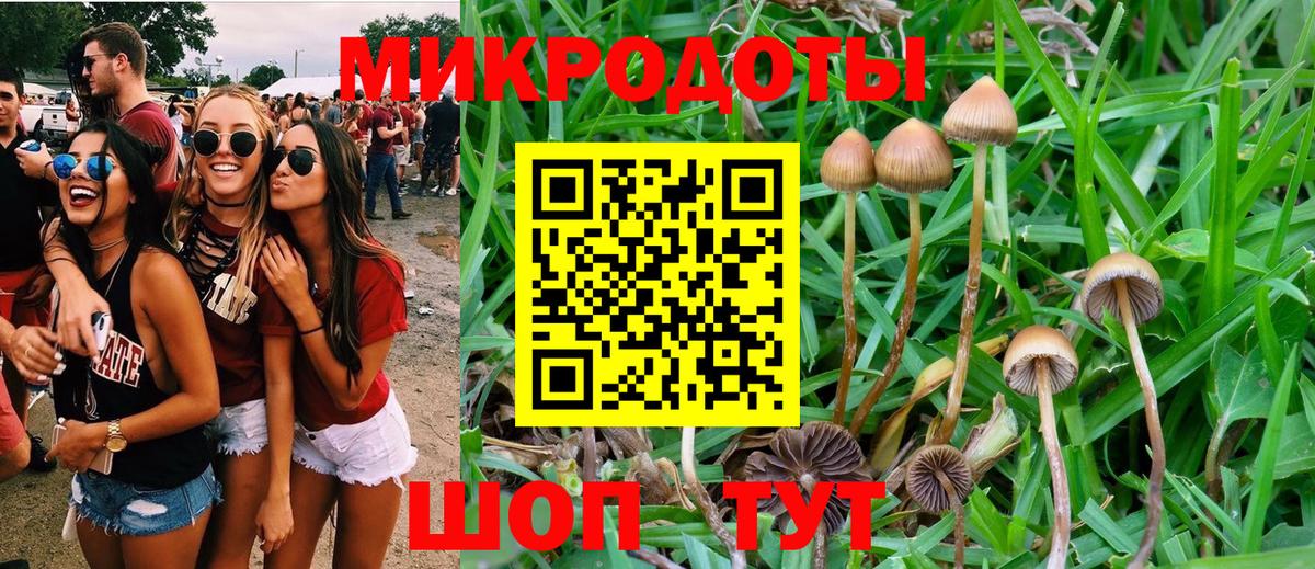 Галлюциногенные грибы MAGIC MUSHROOMS Сафоново